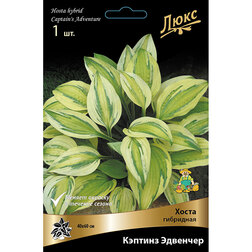 ����  ����� ��������� ������ �������, ������ �� 402 ���