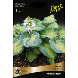 ����  ����� ��������� ����� �����, ������ �� 459 ���