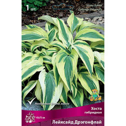 ����  ����� ��������� �������� ����������, ������ �� 445 ���