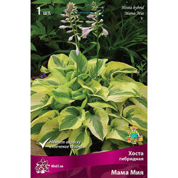 ����  ����� ��������� ���� ���, ������ �� 357 ���