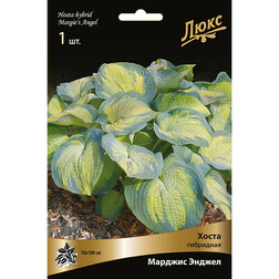 ����  ����� ��������� ������� ������, ������ �� 552 ���