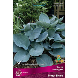 ����  ����� ��������� ���� ����, ������ �� 501 ���