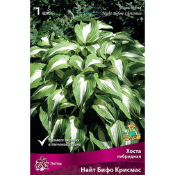 ����  ����� ��������� ���� ���� ��������, ������ �� 357 ���