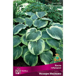 ����  ����� ��������� ������ �������, ������ �� 462 ���