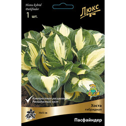 ����  ����� ��������� ����������, ������ �� 501 ���