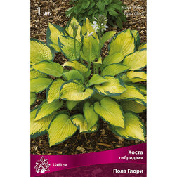 ����  ����� ��������� ���� �����, ������ �� 292 ���