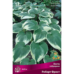 ����  ����� ��������� ������ �����, ������ �� 357 ���