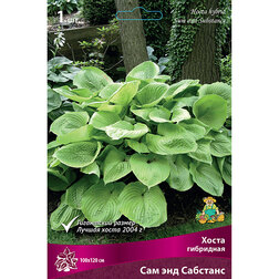 ����  ����� ��������� ��� ��� ��������, ������ �� 399 ���