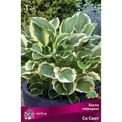 ����  ����� ��������� �� ����, ������ �� 292 ���