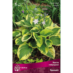 ����  ����� ��������� �������, ������ �� 382 ���