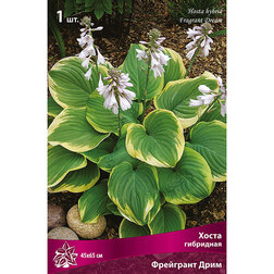 ����  ����� ��������� ��������� ����, ������ �� 357 ���