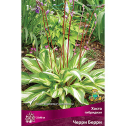 ����  ����� ��������� ����� �����, ������ �� 634 ���