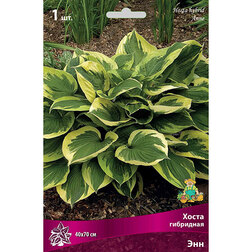 ����  ����� ��������� ���, ������ �� 314 ���