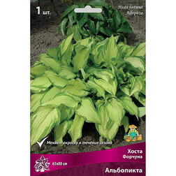 ����  ����� ������� ����������, ������ �� 263 ���