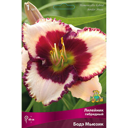 ����  �������� ��������� ���� ������, ������ �� 501 ���