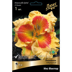 ����  �������� ��������� ��� ������, ������ �� 501 ���