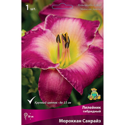 ����  �������� ��������� �������� �������, ������ �� 501 ���