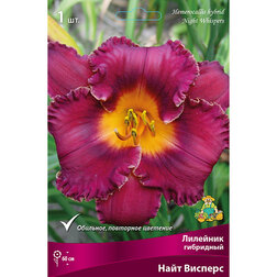 ����  �������� ��������� ���� �������, ������ �� 501 ���