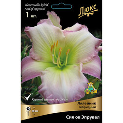 ����  �������� ��������� ��� �� �������, ������ �� 572 ���