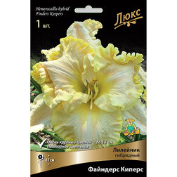 ����  �������� ��������� �������� ������, ������ �� 572 ���