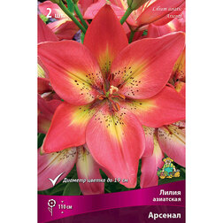 ����  ����� ��������� ������� (2 ��.), ������ �� 394 ���