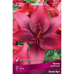 ����  ����� ��������� ���� ��� (2 ��.), ������ �� 306 ���