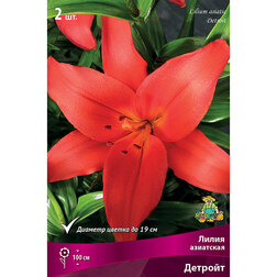 ����  ����� ��������� ������� (2 ��.), ������ �� 319 ���