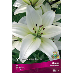 ����  ����� ��������� ���� (2 ��.), ������ �� 306 ���