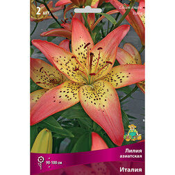 ����  ����� ��������� ������ (2 ��.), ������ �� 394 ���