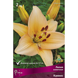 ����  ����� ��������� ������ (2 ��.), ������ �� 306 ���