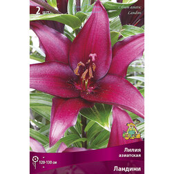 ����  ����� ��������� ������� (2 ��.), ������ �� 370 ���