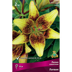 ����  ����� ��������� ������ (2 ��.), ������ �� 394 ���