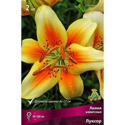 ����  ����� ��������� ������ (2 ��.), ������ �� 394 ���