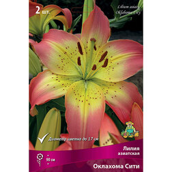 ����  ����� ��������� �������� ���� (2 ��.), ������ �� 394 ���