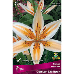 ����  ����� ��������� ������ �������� (2 ��.), ������ �� 370 ���