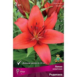 ����  ����� ��������� �������� (2 ��.), ������ �� 306 ���