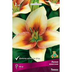 ����  ����� ��������� ����� (2 ��.), ������ �� 394 ���