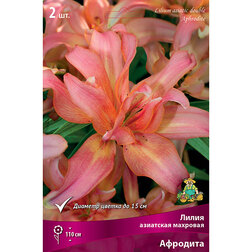 ����  ����� ��������� �������� �������� (2 ��.), ������ �� 462 ���