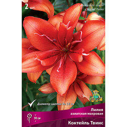 ����  ����� ��������� �������� �������� ����� (2 ��.), ������ �� 462 ���