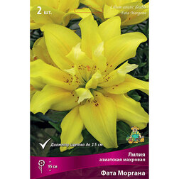 ����  ����� ��������� �������� ���� ������� (2 ��.), ������ �� 462 ���