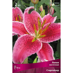 ����  ����� ��������� ���������� (2 ��., ������ �� 350 ���