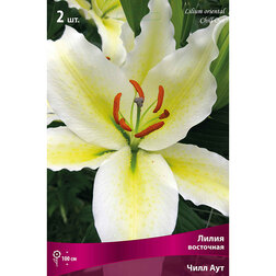 ����  ����� ��������� ���� ��� (2 ��.), ������ �� 370 ���