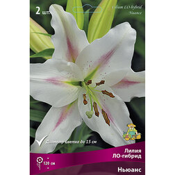 ����  ����� ��-������ ������ (2 ��.), ������ �� 448 ���