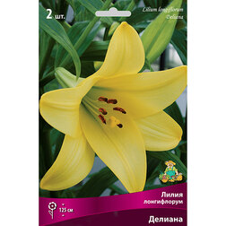 ����  ����� ����������� ������� (2 ��.), ������ �� 333 ���