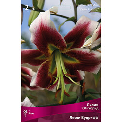 ����  ����� ��-������ ����� ������� (2 ��.), ������ �� 421 ���