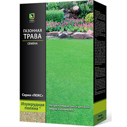 ����  �������� ����� ���������� ������ (100 �), ������ �� 119 ���