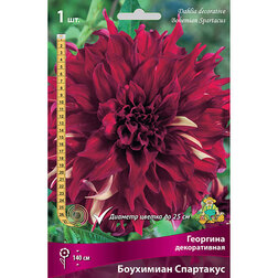 ����  �������� ������������ ��������� ���������, ������ �� 484 ���