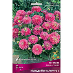 ����  �������� ������������ ������ ���� �������, ������ �� 501 ���