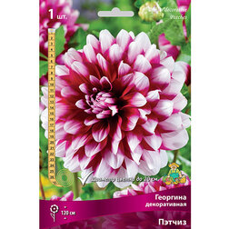 ����  �������� ������������ ������ (1 ��.), ������ �� 467 ���