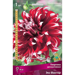 ����  �������� ������������ ��� ������, ������ �� 583 ���